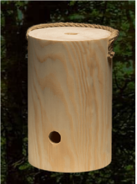 Vogner 4