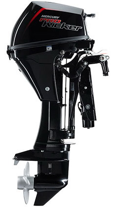 f20EFI 6